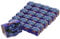 Bull & Bear 25er Set Minipflanzset Vergissmeinnicht, Blumensamen im Topf 40mm, Mini Blumen als Anzuchtset mit Pflegeanleitung