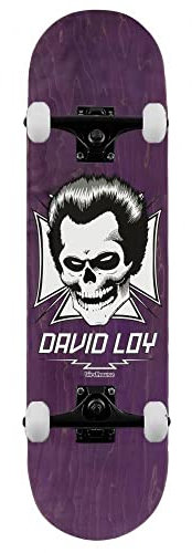 Birdhouse Pro Loy Skull Skateboard, 21,3 cm, Violett