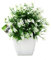 OFFIDIX Mini Fleurs artificielles de Plantes artificielles avec la Plante Artificielle en Plastique de Vase carré Blanc pour Le Bureau, décoration de la Maison