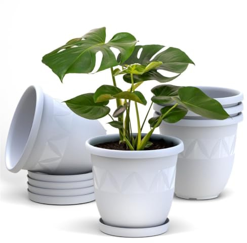 Plastard Blumentopf 5er Set Ø24 cm mit Untersetzer Weiß – Pflanzkübel | Witterungs- UV- & frostbeständig, inkl. 18 cm Untersetzer, ideal für Garten, Balkon & Innenbereiche, Deko Pflanztopf 5 Liter