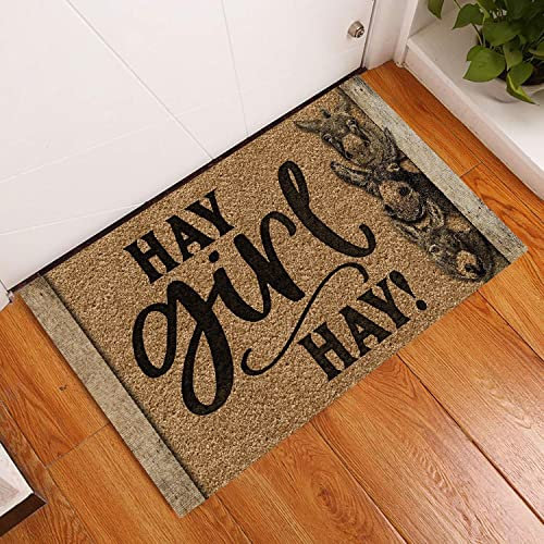 NA Fussmatte Aussen Haustür Hay Girl Hay Donkey Fußmatte Willkommensmatte Home Decor Lustige Fußmatte Geschenkidee Schlafzimmer deko Wohnzimmer