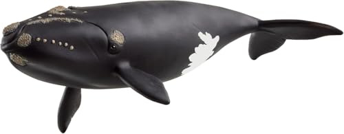 schleich Wild Life - 7” North Atlantic Right Whale Toy with Realistic Details - Durable Animal Figurine for Screen-Free Play - Deep Sea Educational Toy for Kids - Boys and Girls Ages 3+ | 14878