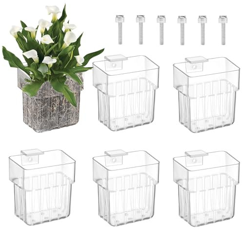 WANDGU 6 Supports à Plantes pour Aquarium en Acrylique: Pots Suspendus Décoratifs avec Ventouses, Système de Culture pour Décoration Aquatique Mini Bassin | Design Moderne et Pratique