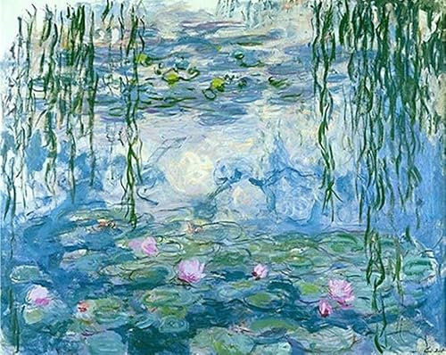 Aeadar Diamond Painting Monet Water Lily, 5D Diamant Painting Bilder Diamant Malerei Set, DIY Diamant Malerei für Home Wall Décor (30×40cm)