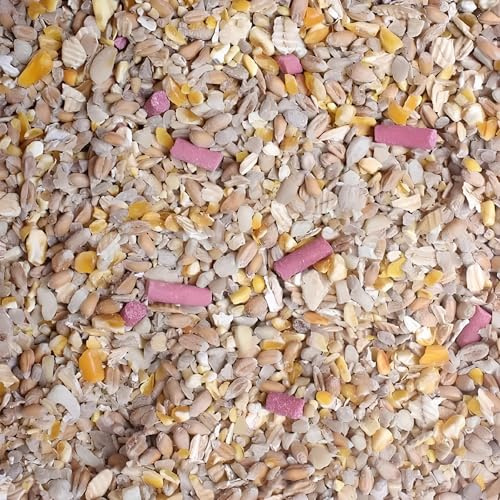 Leagrams Premium No Grow No Mess Wild Bird Seed Mix – Husk-Free, High-Energy Garden Bird Food (25.1kg) Bag