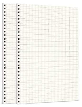 Zelten Lose-Blatt-Lochpapier-Nachfüllpackungen Papier für 6-Loch-Binder Persönlicher Organizer Tagebuch Notizbuch Nachfüllbarer Planer, Squared, A4/30 Hole