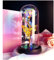 TOGETDREAM Rose Geschenk,Galaxie Rose Geschenk für Mama Valentinstag Rose Geschenk für Sie Ewige Rose im Glas mit LED Licht Rose Geschenk für Muttertag,Jubiläum,Geburtstag,Valentinstag,Dekor