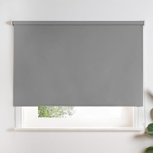 OHS Grey Window Blinds, Stylish Thermal Blackout Blinds Reduce Summer Sun Glare Easy Fit Blinds for Home Office Kitchen Bedroom Living Room Roller Blinds, 165cm x 120cm