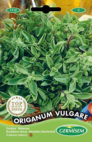 Germisem Origanum Vulgare Semillas Poiree 1 g