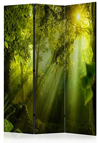 murando Raumteiler Foto Paravent Wald 135x172 cm beidseitig auf Vlies-Leinwand Bedruckt Trennwand Spanische Wand Sichtschutz Raumtrenner Design Bäume Natur Botanik Sonne c-B-0117-z-b