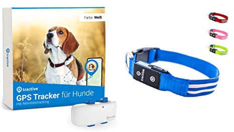 Tractive GPS Tracker für Hunde + LED-Halsband. Live-Ortung mit unbegrenzter Reichweite (Blau, S)