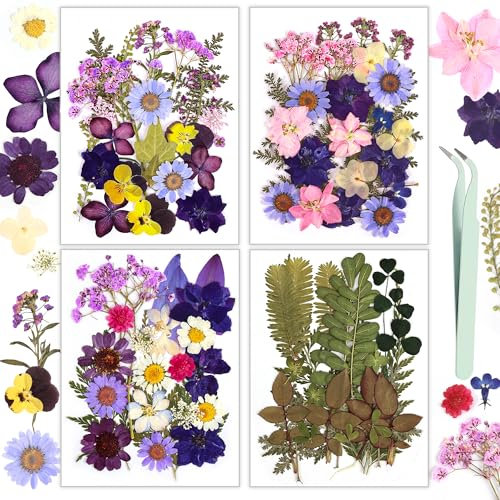 Resiners 100 Stück Lila Getrocknete Blumen Natürliche Gepresste Getrocknete Blumen Blätter für Harz Schmuck Machen, DIY Kerzen, Anhänger, Handyhüllen, Fotorahmen, Bath Bombs, Scrapbook