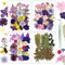 Resiners 100 Stück Lila Getrocknete Blumen Natürliche Gepresste Getrocknete Blumen Blätter für Harz Schmuck Machen, DIY Kerzen, Anhänger, Handyhüllen, Fotorahmen, Bath Bombs, Scrapbook