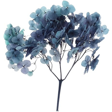 PATIKIL 10g Flor de Hortensia Seca Flores Prensadas Púrpura Degradado | Naturales, Pétalos de Hortensias Reales, para Manualidades de Resina DIY, Tarjetas Florales, Regalos