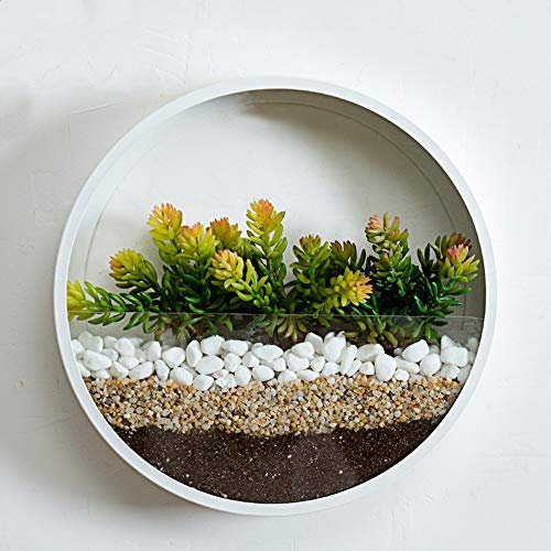 KnikGlass Wandvase Töpfe Glasvase Blumentöpfe Pflanzgefäße Blumen hängend für Pflanzen (Weiß)