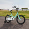 Fricienc Kinderfahrrad 16 Zoll mit Stützräder ab 5-8 Jahren, Höhe105-135cm Fahrrad Kinder für Jungen und Mädchen (Grün)