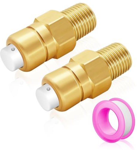 FANOVO 678169004 Thermal Relief Valve-2 Pack,Brass Thermal Release Valve for Pressure Washer Pump,1/4 Inch NPT Thermal Relief Valve for Homelite Ryobi Dewalt Pressure Washer (A)
