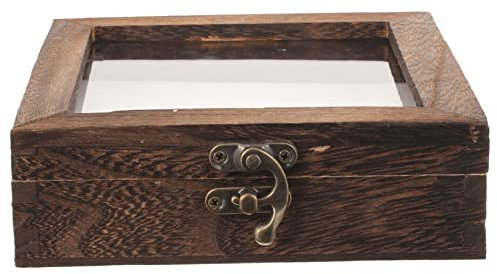 ULTECHNOVO 1 Set Glas Insekten Probenbox Probenrahmen Etui Proben Display Halter Schmetterlinge Proben Etui Schmetterlinge Proben Vitrine Trockenblumen Aufbewahrungsbox Pin Vitrine