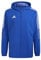 adidas Herren Tiro21 Wb Jacke, Team Royal Blue, L EU