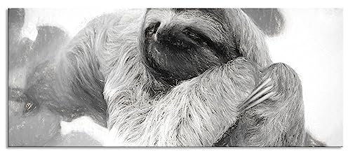 Pixxprint Glasbild Panorama, Wandbild aus Echtglas, Faultier hängt von Ast, 100x40 cm, inkl. Aufhängung und Abstandshalter