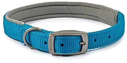 Ancol Padded Viva Dog Collar with Buckle - Blue Durable Walking Accessory for Dogs Puppies - Size 4 Fits 35-43 cm Neck