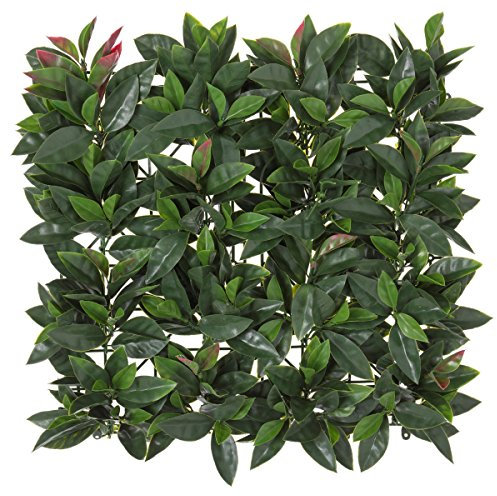 LOLAhome Jardín Vertical Artificial Premium Estilo Laurel | 1 Panel de 50x50 cm | 5 años protección UV | Realista y Elegante, Fácil instalación | Interior y Exterior | Jardín Vertical