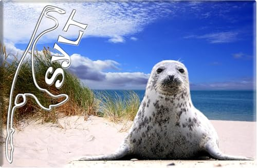 Foto Magnet Kühlschrankmagnet Fotomagnet Souvenir (Sylt)