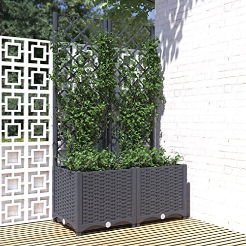 MOONAIRY Jardinière avec Treillis Gris foncé 80x40x136 cm PP,Jardinières,Jardinieres Exterieur,Bac Jardiniere,Bac à Fleurs Extérieur,Jardinieres Balcon