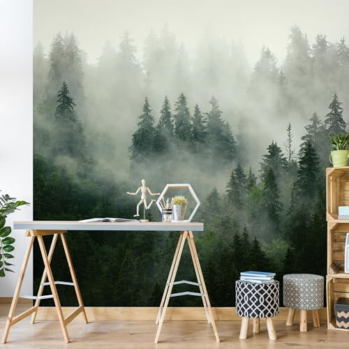 Bilderwelten Fototapete Wald 144 x 144 cm Waldtapete Tannenwald im Nebel Natur Vliestapete Tapete XXL Wanddeko Ideen