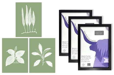 Artery8 Sage Green Plants Wall Art - Set of 3 A4 Sized Art with Black Frames - Tree Detailed Foliage Xray Imprint Monochrome Botanical