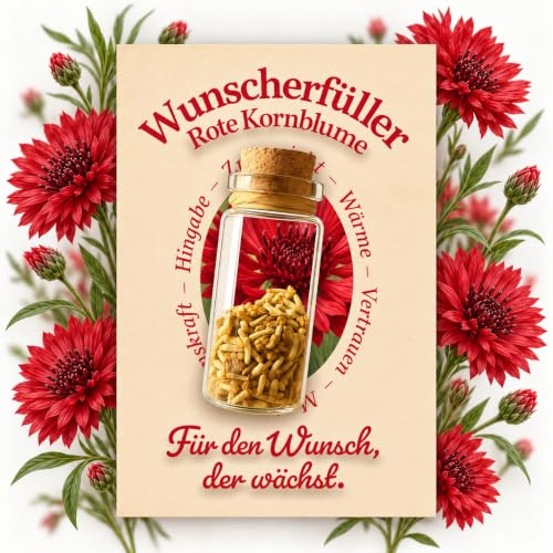Little Plants Wunscherfüller | Echte Kornblume Samen | für Weihnachten Geburtstag Hochzeit Jugendweihe Reisen Geschenkidee für Frauen und Männer Rot Kornblume