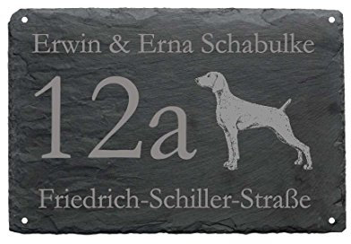 « HAUSNUMMER + STRASSE + NAME mit WEIMARANER » als SCHIEFERTAFEL individuell gefertigt Schieferschild Hund