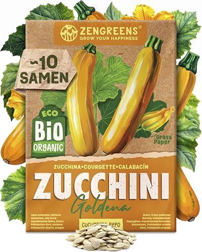 ZenGreens® - Bio Zucchini Samen (Goldena) - Zucchinisamen - Gemüsesamen für den einfachen Anbau im Garten, Balkon oder Hochbeet - Saatgut - Zucchetti