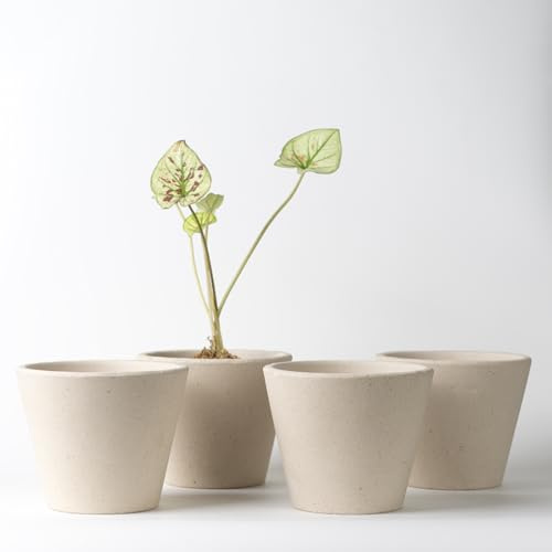 Nipots 4 Pack Terracotta Clay Plant Pots with Drainage, Breathable Water-Absorbing Planters for Healthy Roots, 5 Inch Deep Flower Pots for Indoor and Outdoor Gardening, Beige