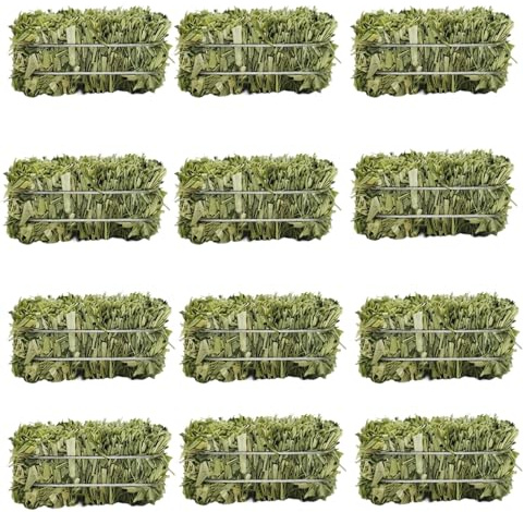 12 Pcs Mini Hay Bales, Small Decorative Straw Bale in 1 x 1.25 x 2.5 in / 2.5 x 3.2 x 6.4 cm, for Thanksgiving Fall Harvest Decorations, DIY Crafts, Dollhouse, Farmhouse Decor