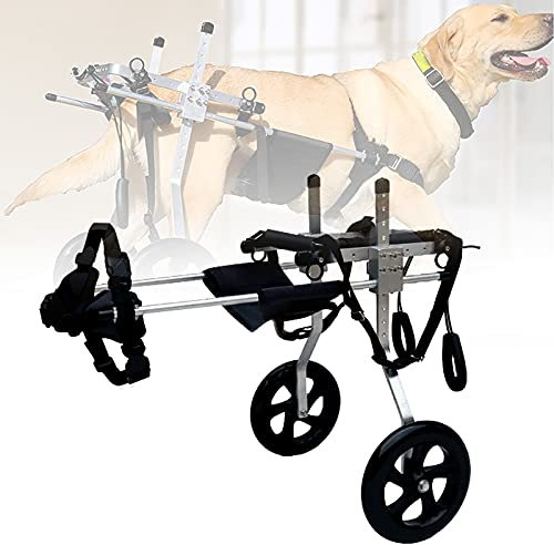 WANGPP Hunderollstuhl Verstellbarer,Haustier-Rollstuhl, Dog Wheelchair,Haustier Hinterbeinhilfe, Behindertes Hund Gehhilfe, Fahrradanhänger Hinterbein-Übungsfahrzeug 2-Rad (Size : XL for 20-30 kg)