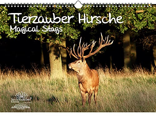 Tierzauber Hirsche DIN A3 Kalender - Immerwährender Kalender - Seelenzauber