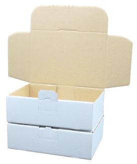 Maxibriefkartons Maxibrief Versandkarton für DHL DPD GLS Deutsche Post Hermes Warensendung Büchersendung mit Steckverschluss (Weiß, 100x MB2-180 x 130 x 50 mm)