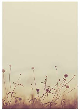 Briefpapier | Herbstwiese in der Sonne | 20 Blatt Herbstliches Motivpapier DIN A4
