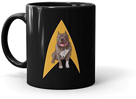 Star Trek: Picard No.1 Delta Tasse (313 ml)
