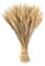 JINGLING 100 Getrocknete Blumen Weizen Natürliche Trockenblumen Weizen Weizenstrauß Deko Getrocknete Weizen Blumen Für Hochzeit Mittelstücke Zuhause Balkon Tisch Vase Weihnachten Deko