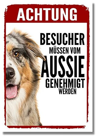 Australian Shepherd 3 Genehmigung Dog Schild Spruch Türschild Hundeschild Warnschild Geschenkidee Sicherheitsschild Hund Privatgrundstück Hundewarnung Warnung vor dem Hund