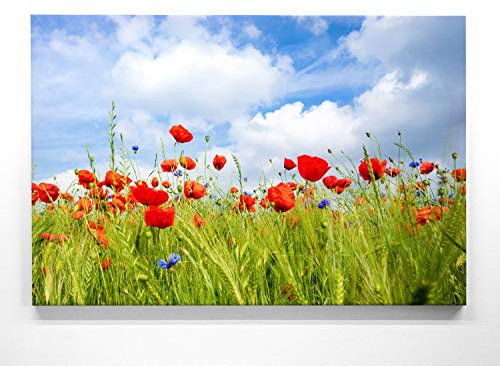 Traumhaftes Leinwandbild - Mohn im Sommer - als 90x60cm großes Wandbild. Perfekt als Hintergrund und Deko für Wohnzimmer & Schlafzimmer. Aufgespannt auf Holzrahmen