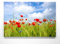 Traumhaftes Leinwandbild - Mohn im Sommer - als 90x60cm großes Wandbild. Perfekt als Hintergrund und Deko für Wohnzimmer & Schlafzimmer. Aufgespannt auf Holzrahmen