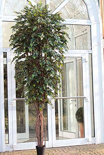 artplants.de Kunstbaum Ficus Benjamini YONDALA, Echtstämme, grün, 300cm - Kunstficus