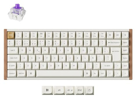 Keychron K2 HE Teclado Inalámbrico Español, 2,4 GHz y Bluetooth 5.2, Programa con QMK/Via, Interruptores Magnéticos Gateron, 75% ISO-ES Teclado Gaming para Mac y Windows, Edición Especial - Blanco