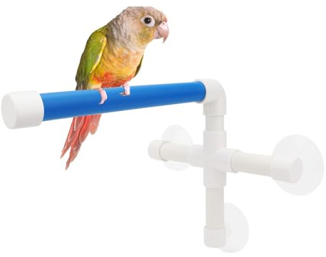 Hypeety Suction Cup Bird Perch Strong Window Shower Bath Stand for Parrots | 3 heavy-duty suction cups for glass/tile, portable holder platform for shower window use, for parakeets/conures/cockatiels, A