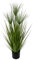 Flair Flower Zyperngras Im Topf, Kunststoff, Grün 75 cm