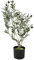 Übernatürlicher Simulationsbaum 150cm / 59ft Künstliche Pflanze Dekorativer Baum, gefälschter Olivenbaum Vinyl Blumentopf Lebenswertiger Gefälschter Kunststoff Indoor Outdoor Greenery Home Office Haup
