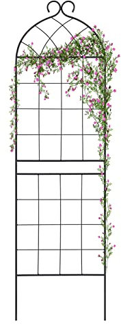 SCENDOR GARDEN 1 Lot de Treillis de Jardin 180,3 cm H x 50 cm l pour Plantes grimpantes, Support en Fer antirouille pour Plantes grimpantes, Treillis de Roses pour vignes, Fleurs, concombres